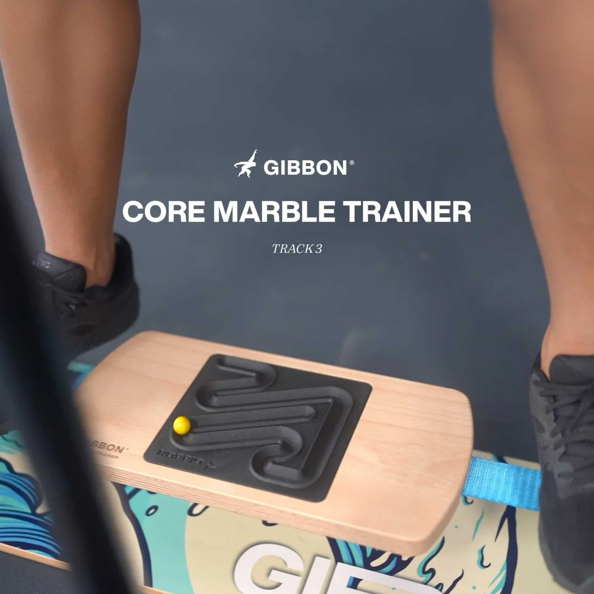 Bonus Plate for Marble Core Trainer