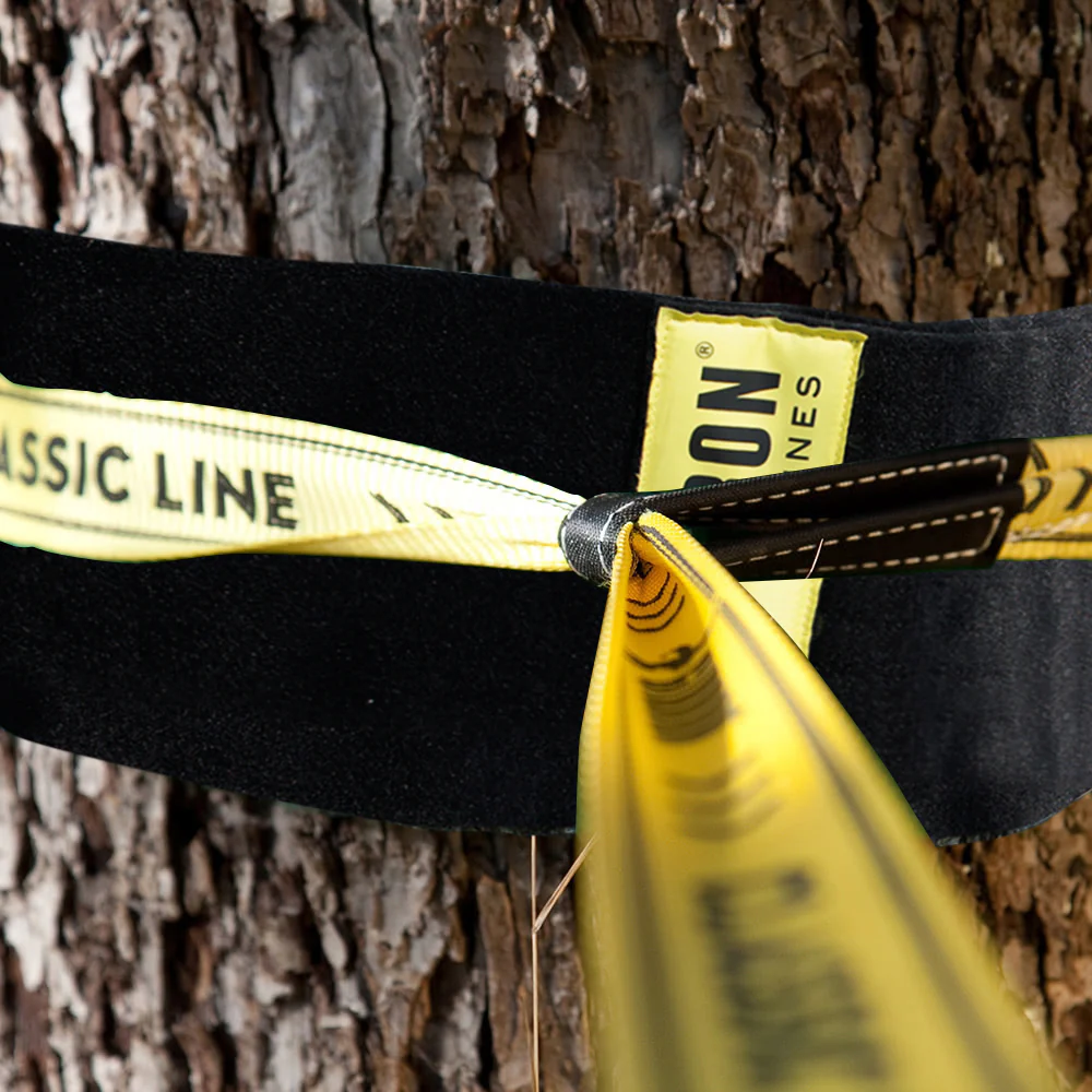 Treewear - Image 4